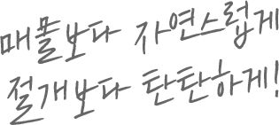 매몰보다 자연스럽게 절개보다 탄탄하게
